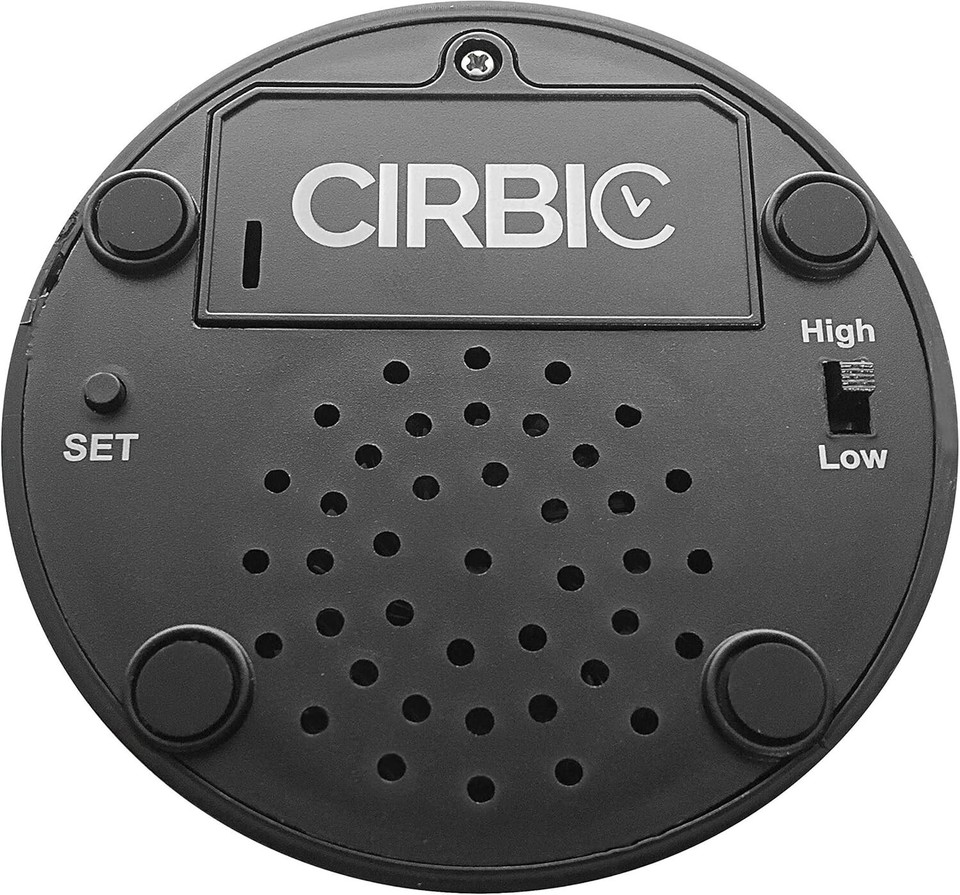 Large Talking Alarm Clock for Blind Announcing Time, Date and Week of