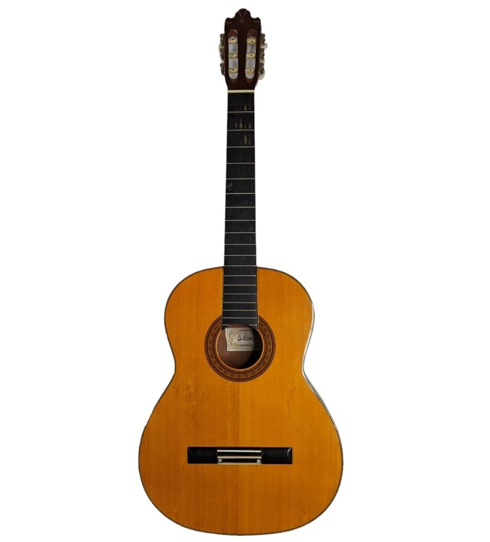 Suzuki online acoustic guitar