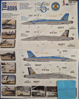 1/48 Two Bobs decals 48-117 F/A-18F Super Hornet VFA-213 Black Lions CAG rare