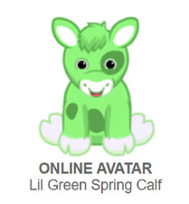 Webkinz Classic Lil Green Spring Calf *Code Only* (~messaged~)