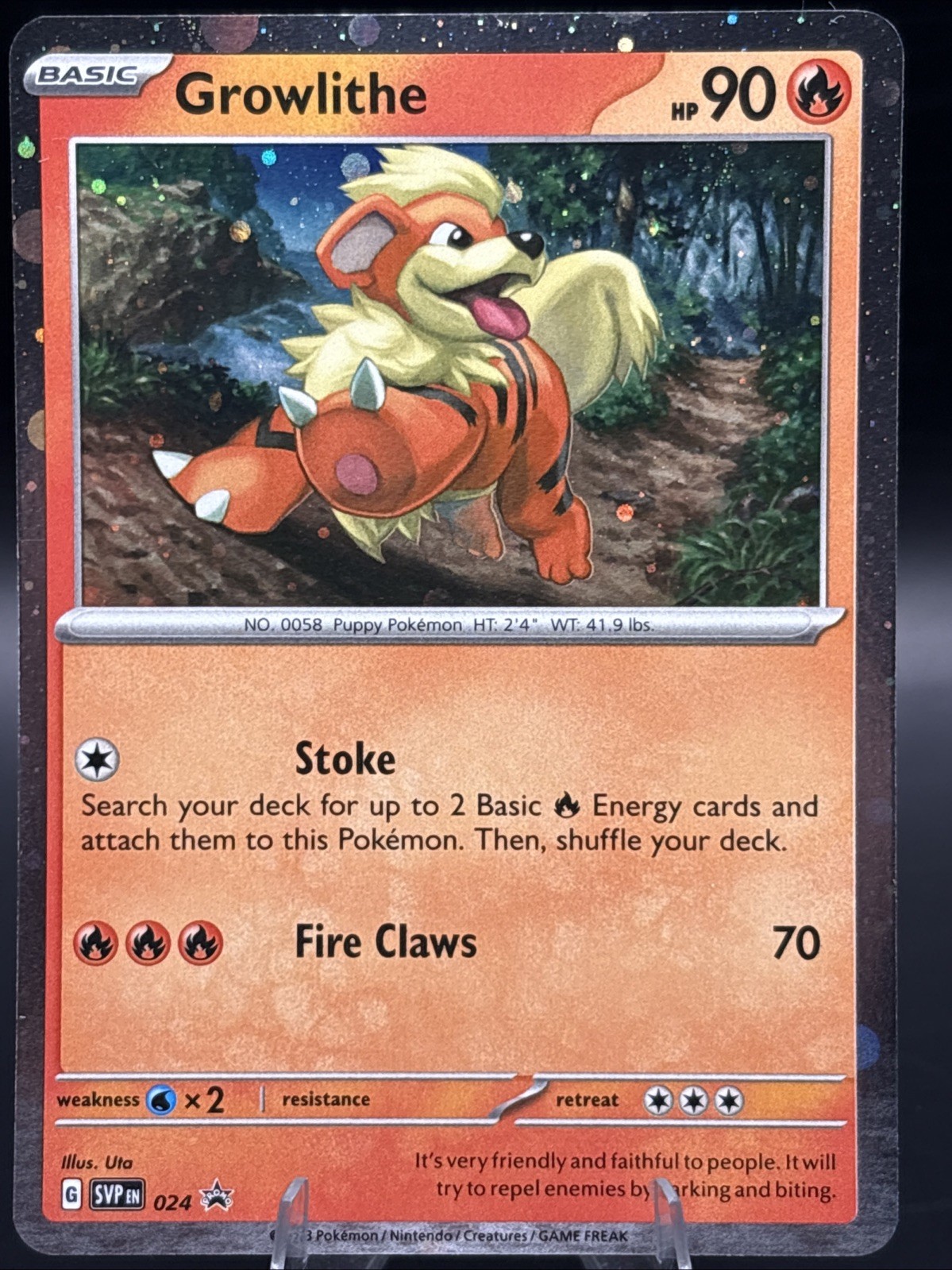 Pokémon TCG - Growlithe - 024 - Scarlet and Violet - Black Star Promo