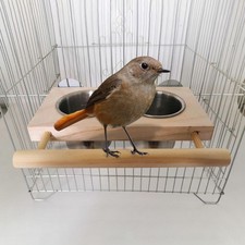 Bird Feeding Dish Cups Bird Food Water Stainless Steel Cups Parrot Cage Feeder 