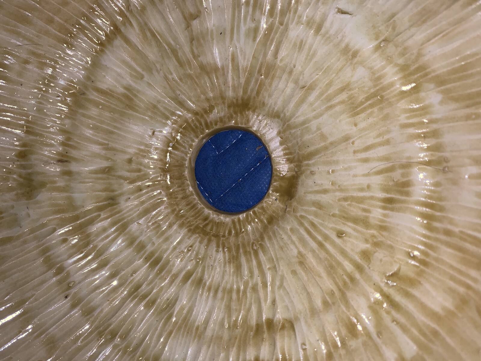 Picture 5 of 7