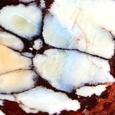 GS992 UNIQUE! Luna Lacuna (Dark Moon) rough slabs 79.6 grams; lapidary; NAT