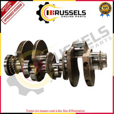 Kurbelwelle Für Audi VW Porsche Panamera A7 A8 Q5 Q7 Q8 CRTC CRTA DDX 3.0 Neu