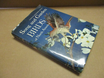 Song And Garden Birds Of North America