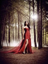 The Vampire Diaries Tv Show Nina Dobrev In Forest 8x10 Picture Celebrity Print