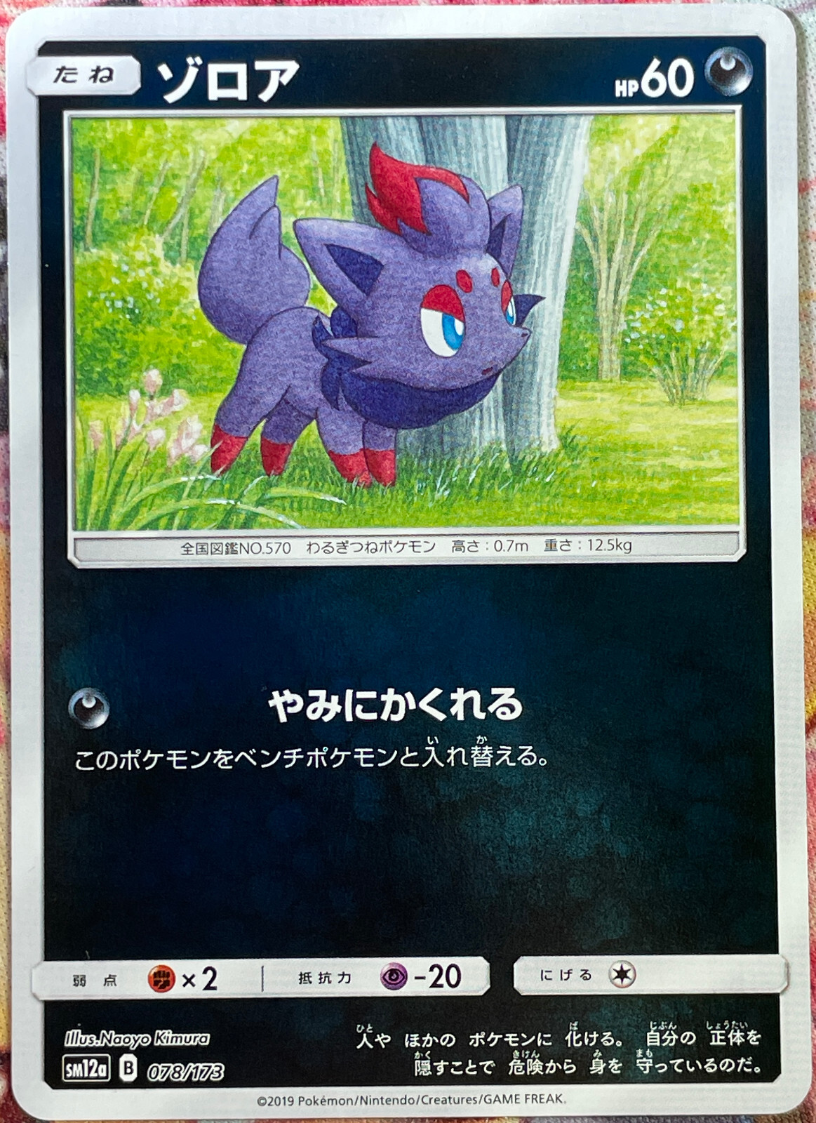 Zorua Reverse Holo - 078/173 - Tag Team GX All Stars SM12a Pokemon 2019