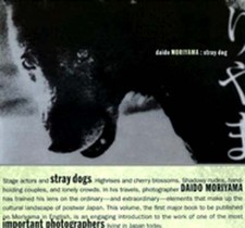 Daido Moriyama : Stray Dog by Daido Moriyama and Sandra S