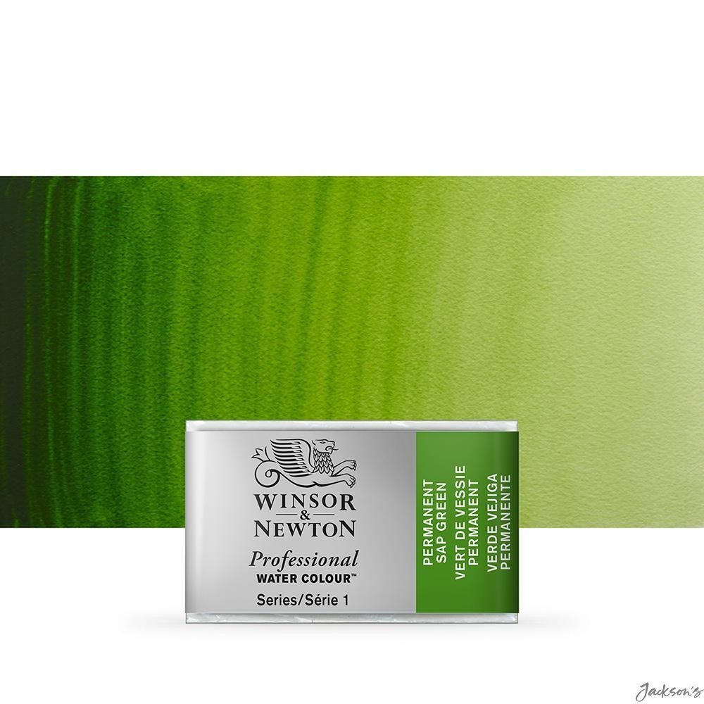 Winsor & Newton Professional Watercolour Full Pan Permanent Sap Green Artist ...