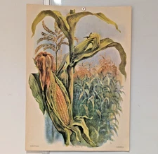 Ukrainian Folk Poster 1986 - Soviet USSR - Corn Stalk - Interior Design Wall Art