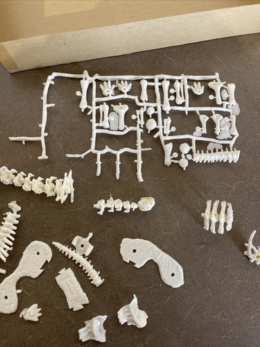 Kit modellino vintage palmer brontosaurus scatola aperta, istruzioni, parti - Foto 6 di 15