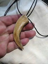 Grizzly Bear Claw 4 Inch Pendant Artist Concept Replica