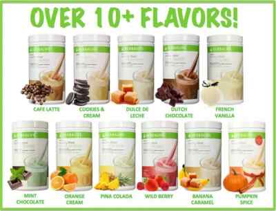 HERBALIFE Healthy Meal マンゴー 2本セット Independent Herbalife Distributor | Formula 1 Healthy Meal