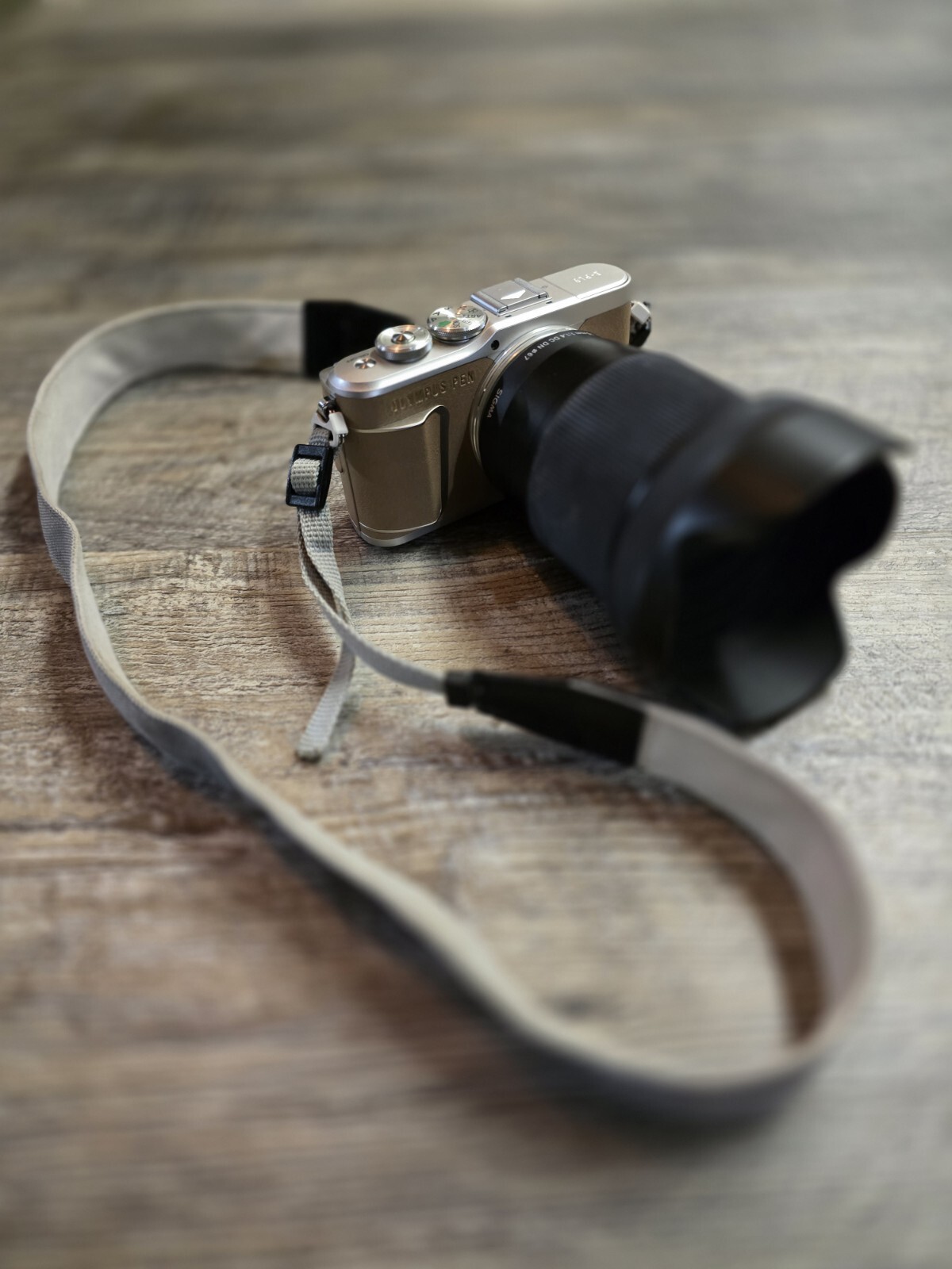 4K Video Olympus Mirrorless Camera  Pen e-pl9 With Sigma Lens