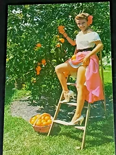 1950S Florida CHEESECAKE PIN-UP Risque Woman Postcard SOUTHERN BELLE LEGS ORANGE