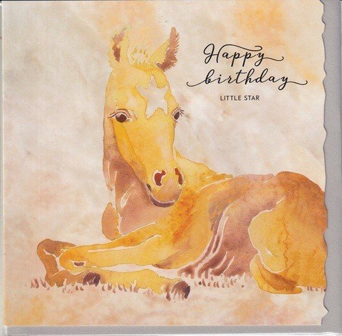 Happy Birthday  Card horse equestrian little star  Deckled Edge