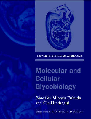 Molecular and Cellular Glycobiology (Frontiers in Molecular Biology) by 