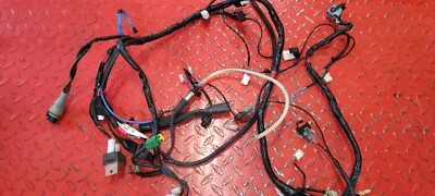 faisceau electrique SR 50 GP repliqua H2O 2T 2019 ref 1D002541 - Photo 1/2