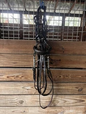 dressage double bridle