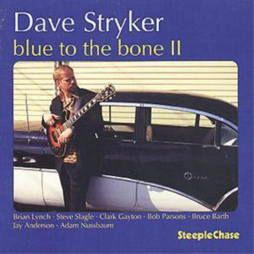 Dave Stryker Blue To The Bone II (CD) Album
