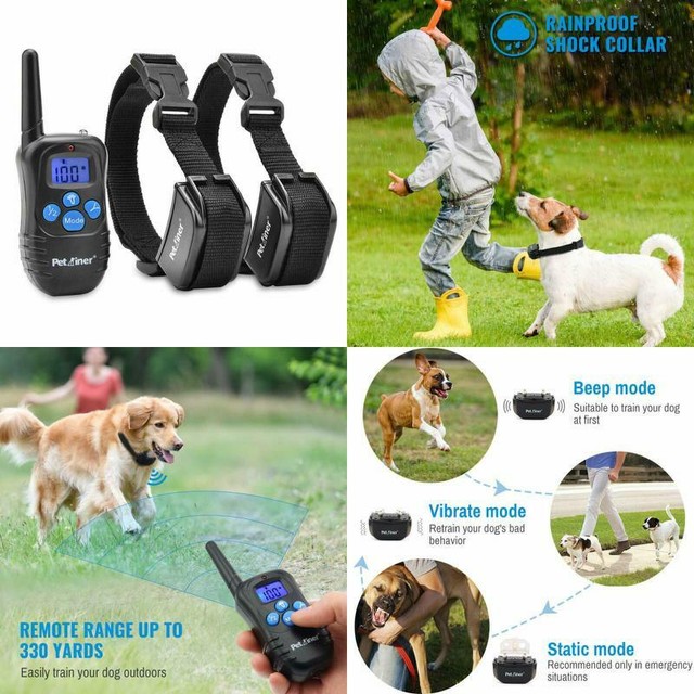 collar adiestramiento ebay