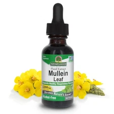 Nature's Answer Mullein Drops for Lungs, Alcohol-Free, 1 Ounce Mullein Leaf 