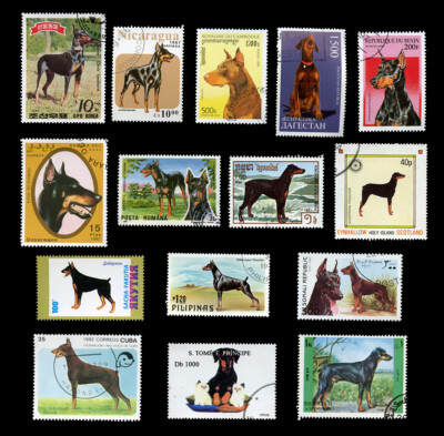 DOBERMANN PINSCHER DOBERMAN DOG INTERNATIONAL POSTAGE STAMPS x 15 Different 