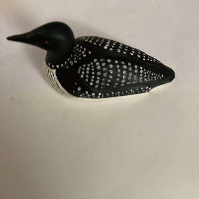 Common Loon Duck Bird Black Spotted White Hand Painted 3  