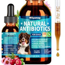 Natural Dog Antibiotics for Allergy, Itch, Cough  Skin Health - Herbal