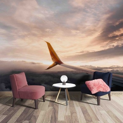 3D Sky Airplane Close-up Wall Murals Wallpaper Murals Wall Sticker