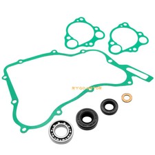 Water Pump Rebuild Kit Bearings Seals Gasket ...
