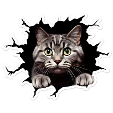 Cat Kitten Peeking Hole - Vinyl Decal Sticker - Car Window Laptop - ebn11074
