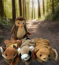TY Beanie Baby - 4 Woodsy Sly - Cubbie - Rings - Hoot So Cute