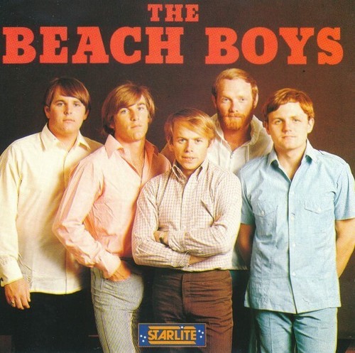 The Beach Boys - The Beach Boys (CD Album 1990)