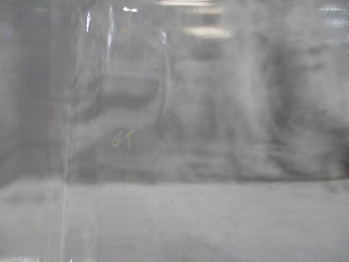 Anchor Hocking Baking Casserole Dish 438 Clear Glass 2 Quart 8x8x2" Square - Picture 9 of 12