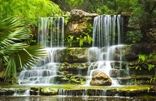 10x8ft Green Jungle Garden Scenery Waterfall Photo Background Vinyl Backdrop LB