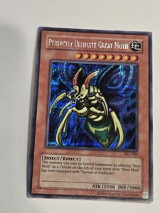 Perfectly Ultimate Great Moth | eBay