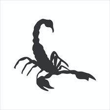 Scorpion Vinyl Decal / Sticker 2(TWO) Pack