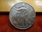 2014 United States American Silver Eagle 1 Oz 0.999 Silver Coin (Impaired)