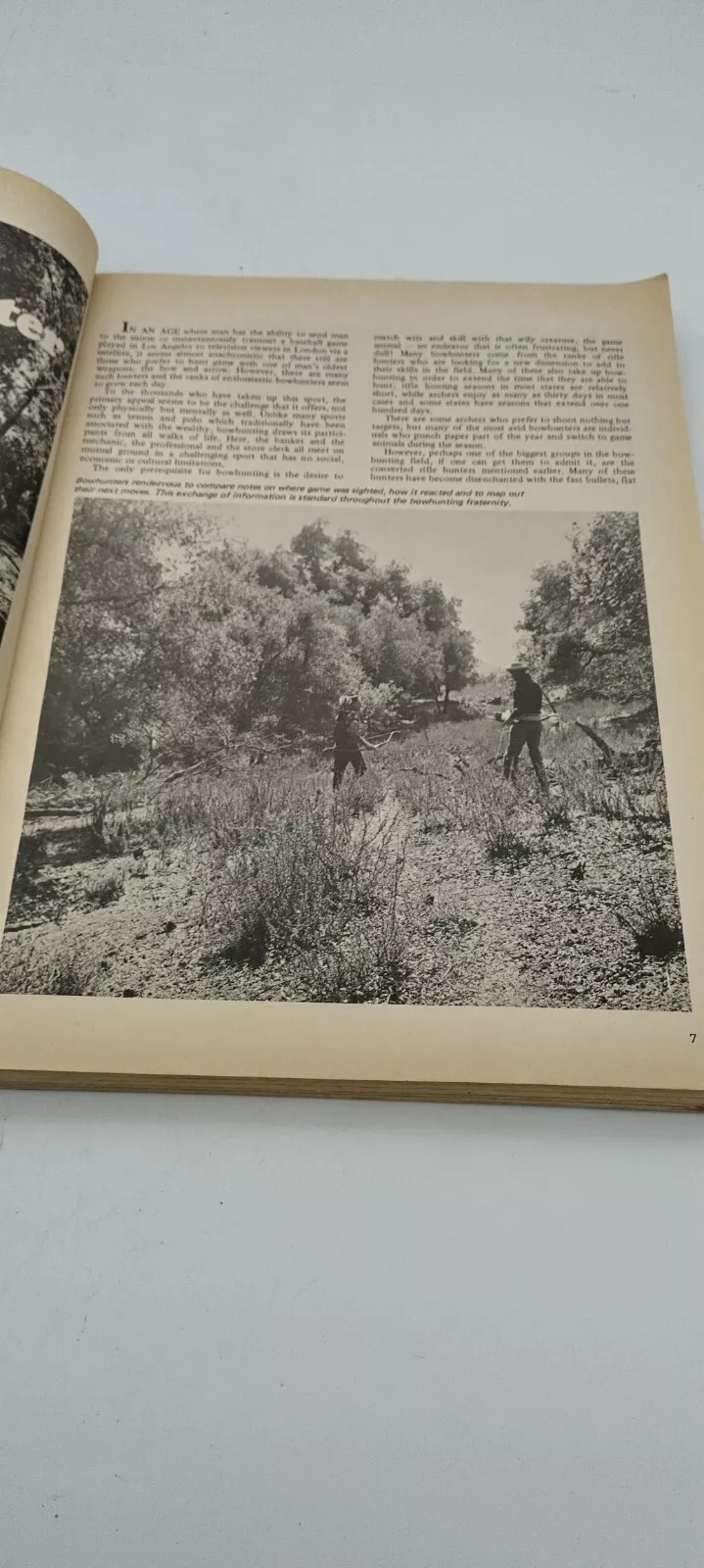 Picture 6 of 13