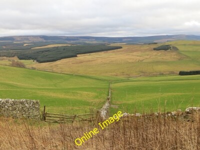 Photo 6x4 Dyke, Falside Chesters/NT6210 Greening up fields above the Jed c2014