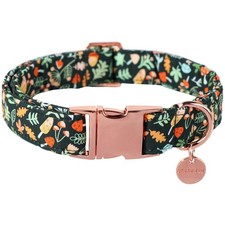 Daisy Fall Cotton Dog Collar with Metal Buckle Gift Autumn Collar for Small M...