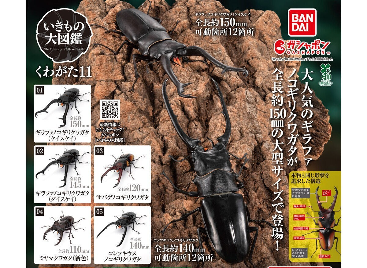 Bandai Capsule Toy The Great Encyclopedia of Living Creatures Stag Beetles 11