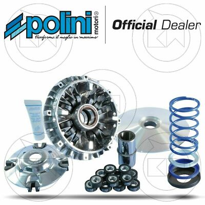 Polini 241696 Variomatik Evolution 3 III EVO 12 ROLLEN YAMAHA T-MAX TMAX 500 2009