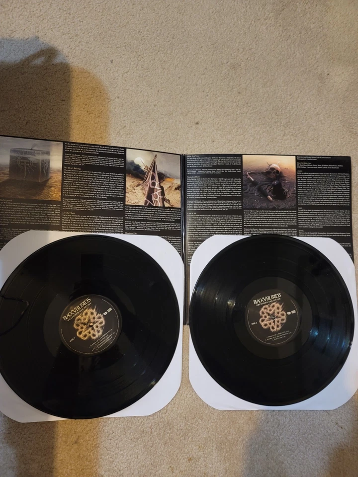 Black Veil Brides - Wretched and Divine Vinyl 2 LP Unplayed! #B Foto 3 de 4