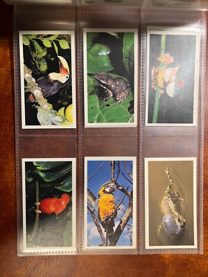 Grandee Cigarette Cards Full Set of 30 - Disappearing Rain Forest....Free  UK P&P