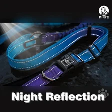 Hands Free Dog Bungee Leash Adjustable Waist Belt for Large Dog Walking Running