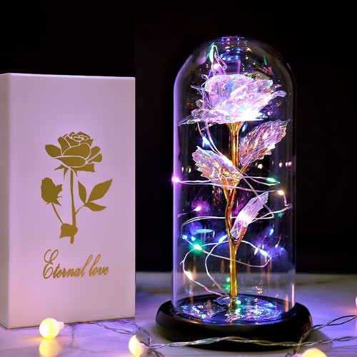 Forever Rose Flower in Dome Glass Fairy LED Light Valentine's Day Birthday Gift
