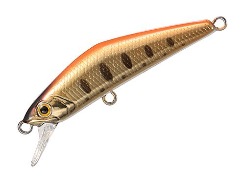 Le leurre SMITH D-Compact 45 est un petit minnow très efficace sur la